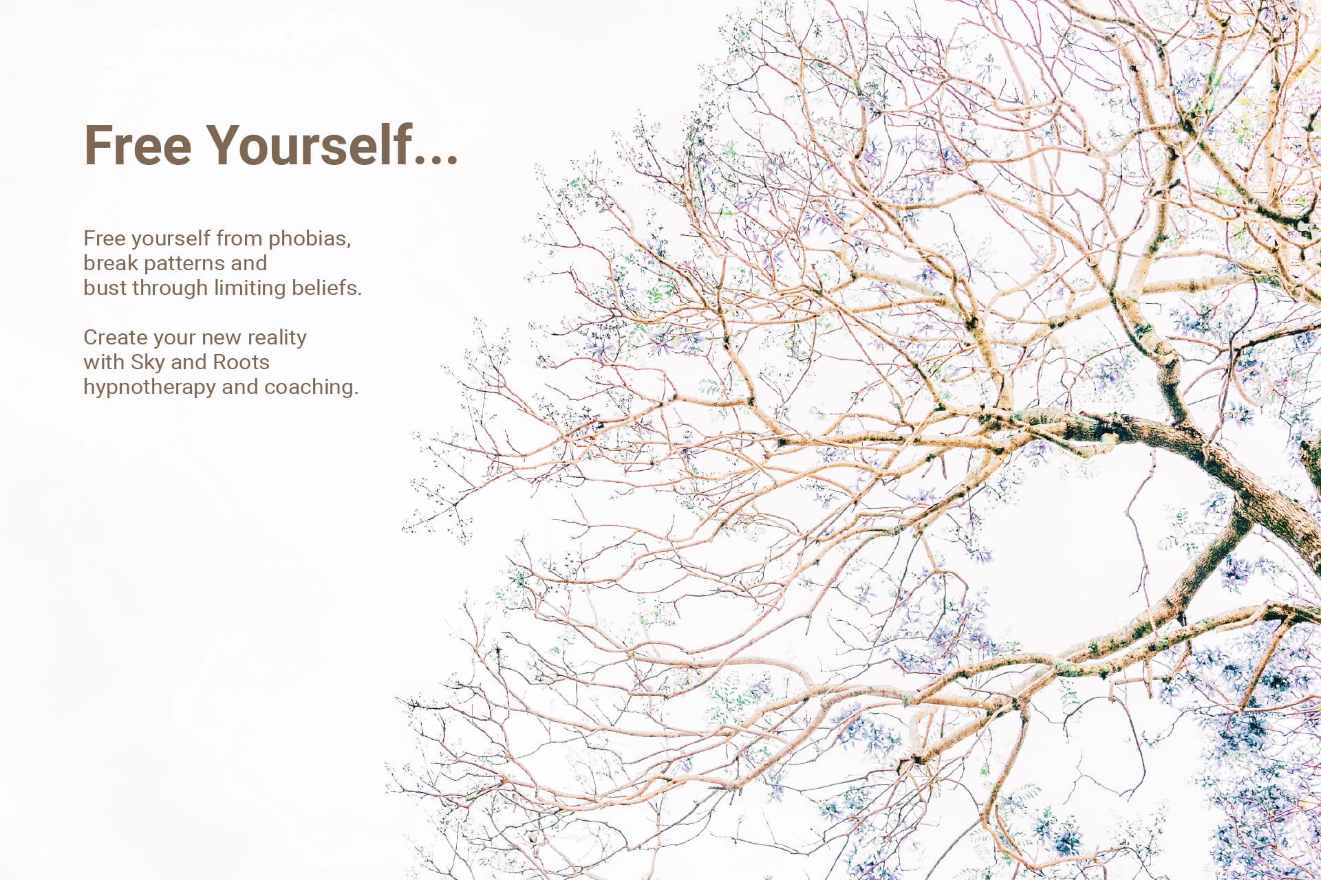 Free Yourself from phobias, break patterns and bust through limiting beliefs. Creat your new reality with Sky and Roots hypnotherapy and coaching. Ana Lucia Lanatta - SkyandRoots - Hypnosis|Hypnose - Hypnotherapy|Hypnotherapeute - SkyandRoots.com